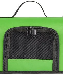 Kaytee Come Along Small Animal Carrier, Color Varies