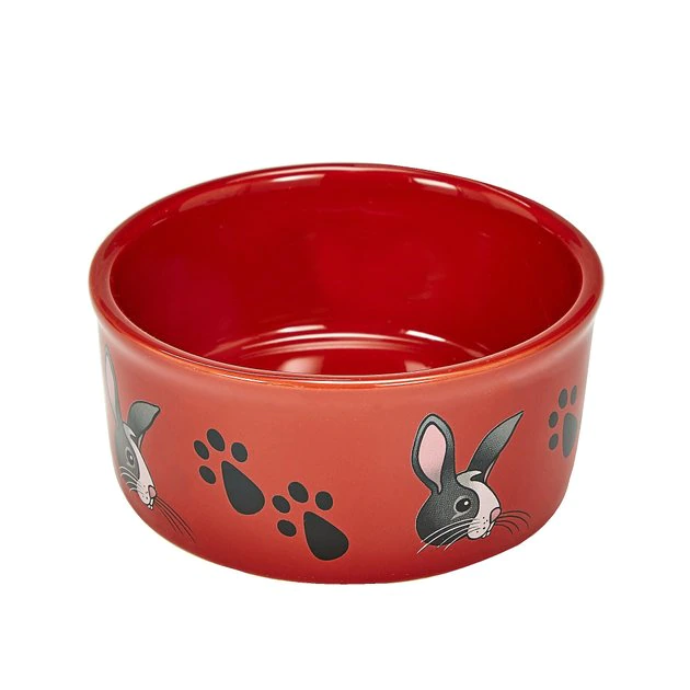 Kaytee Paw Print Small Animal Food & Water Bowl, Color Varies