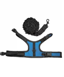 Kaytee Small Animal Harness & Stretchy Leash, Color Varies