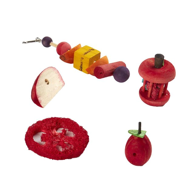Kaytee Chew & Treat Toy Guinea Pig Assortment