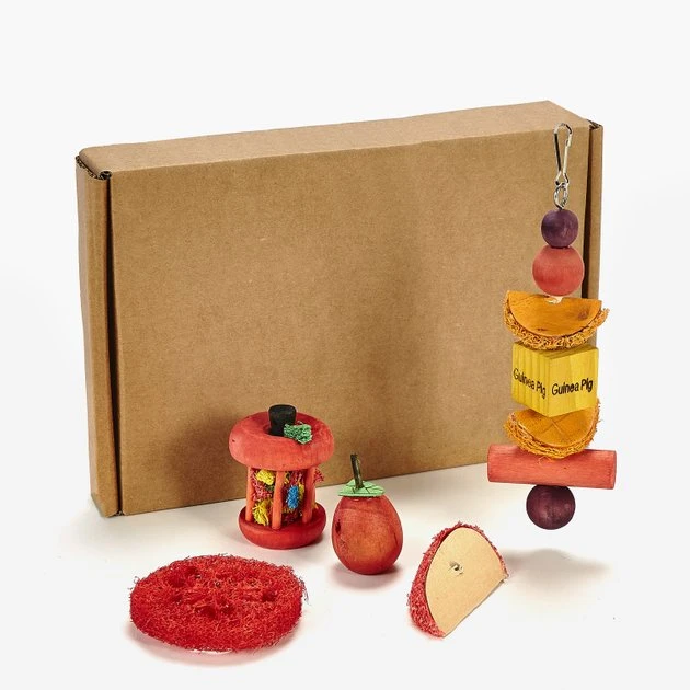 Kaytee Chew & Treat Toy Guinea Pig Assortment - Image 2