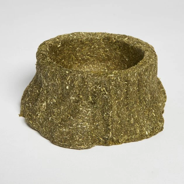 Kaytee Premium Timothy Chew-A-Bowl Small Animal Treats - Image 3