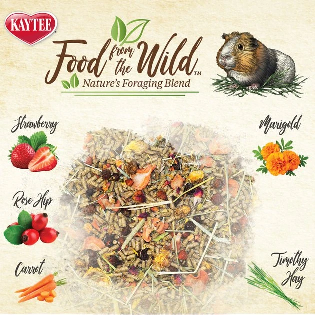 Kaytee Food From the Wild Guinea Pig Food, 4-lb bag - Image 4