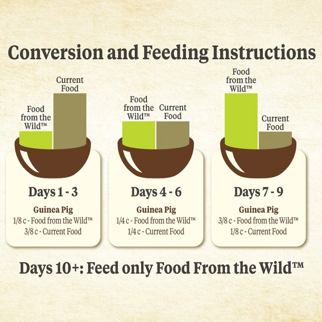 Kaytee Food From the Wild Guinea Pig Food, 4-lb bag - Image 7