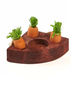 Kaytee Toss & Learn Carrot Game Small Pet Toy