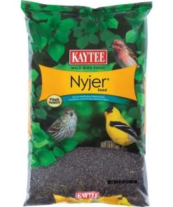 Kaytee Nyjer Seed Wild Bird Food, 8-lb bag