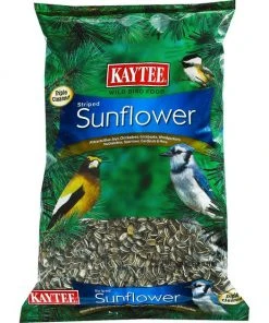 Kaytee Striped Sunflower Wild Bird Food, 5-lb bag