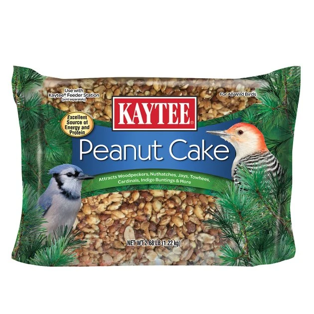 Kaytee Peanut Cake Wild Bird Food, 1 count
