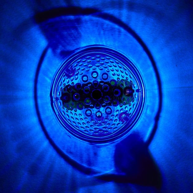 Kaytee CritterTrail LED Bubble Plug Small Pet Habitat Light - Image 4