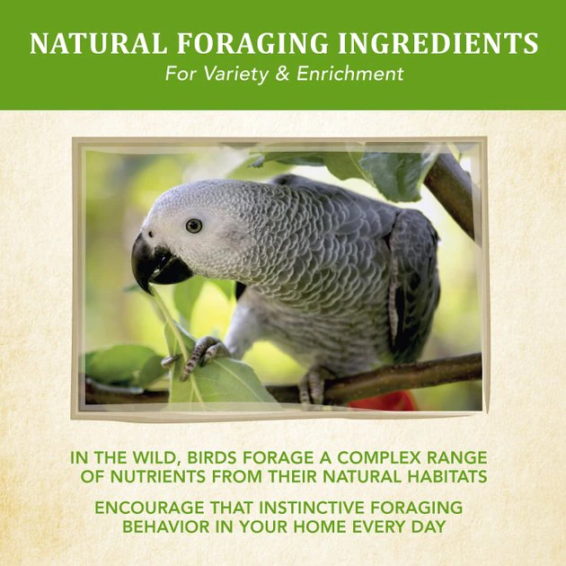 Kaytee Food from the Wild Parrot Bird Food, 2.5-lb bag - Image 5