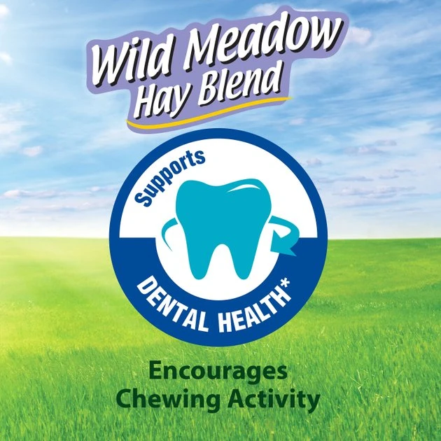 Kaytee Wild Meadow Hay Blend Rabbit Food, 24-oz bag - Image 7