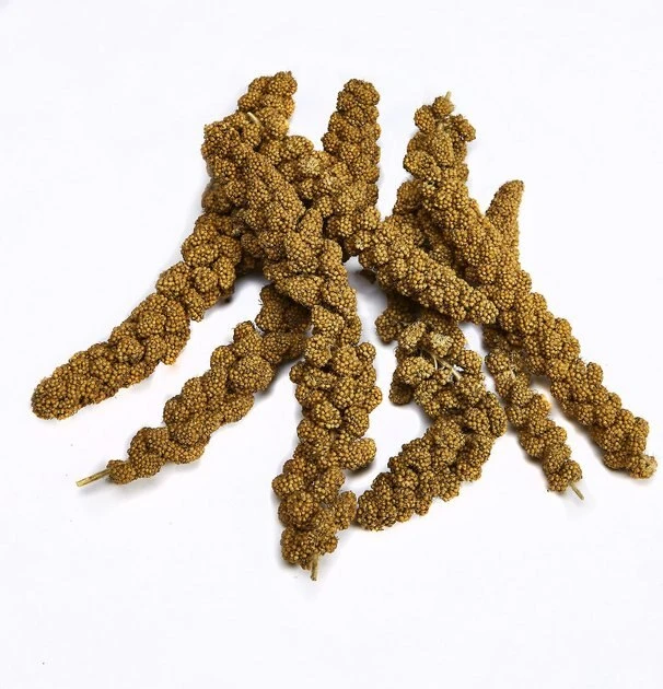 Kaytee||Vitakraft Kaytee Natural Spray Millet Bird Treats, 12 count & Vitakraft VitaSmart Complete Nutrition Parrot Food, 7-lb bag - Image 2