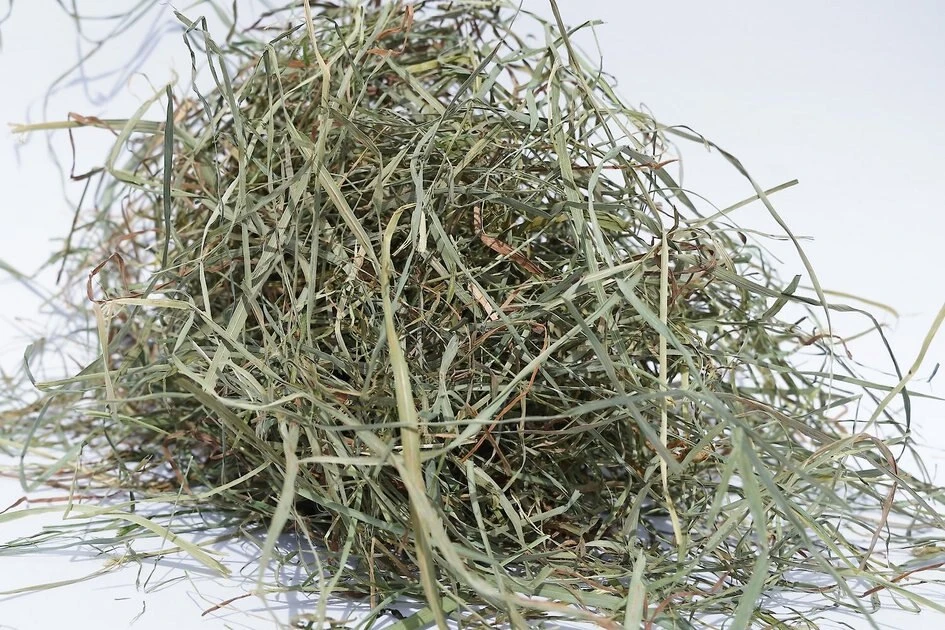 Sweet Meadow Farm||Kaytee Sweet Meadow Farm Timothy Hay Small Pet Food, 9-lb box & Kaytee Perfect Chews Rabbit Toy, 6.5-in - Image 3