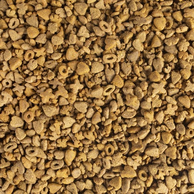 Kaytee Fiesta Natural Ferret Food, 2.5-lb bag - Image 3