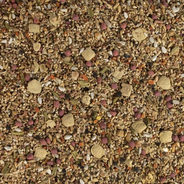 Kaytee Fiesta Natural Ingredients Parakeet Bird Food, 4.5-lb bag - Image 3