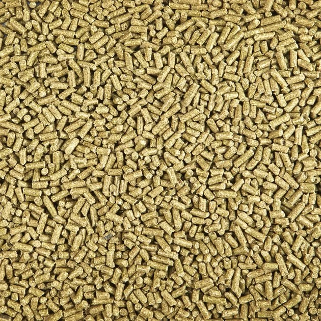 Kaytee Timothy Sensitive Digestion Complete Guinea Pig Food, 9.5-lb bag - Image 3