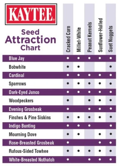 Kaytee Seed & Suet No Mess Blend Blueberry Flavor Wild Bird Food, 10-lb bag - Image 5