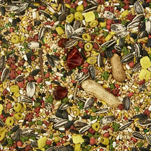 Kaytee Egg-Cite! Forti-Diet Pro Health Conure & Lovebird Food - Image 8