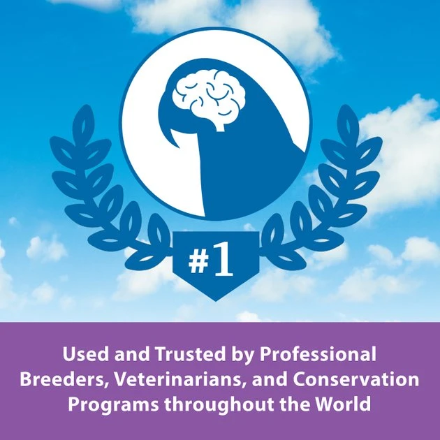 Kaytee Exact Handfeeding Baby Bird Food - Image 8