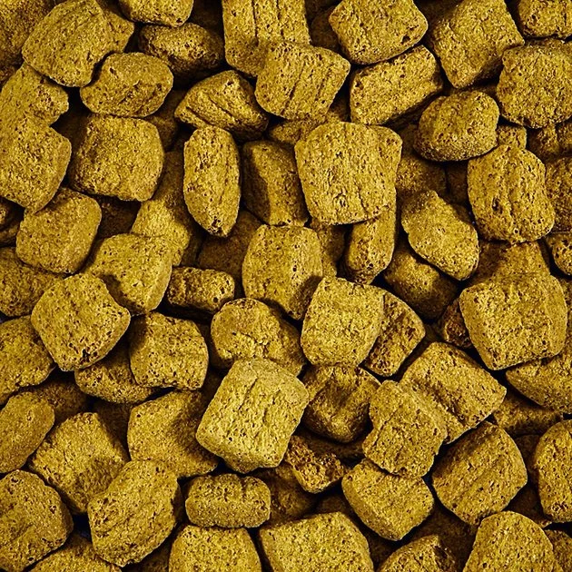 Kaytee Forti-Diet Pro Health Parrot Biscuit Bird Treats - Image 5