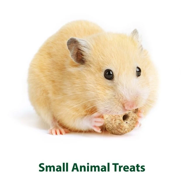 Kaytee Baked Apple Timothy Biscuit Small Animal Treats - Image 5