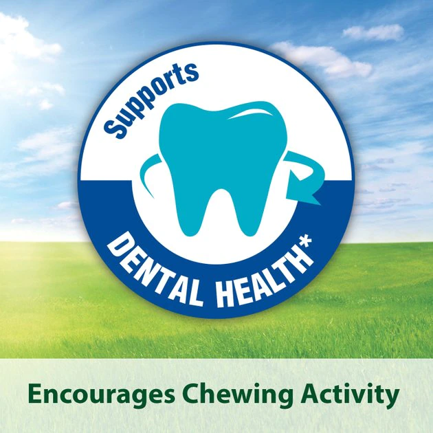 Kaytee Baked Apple Timothy Biscuit Small Animal Treats - Image 7