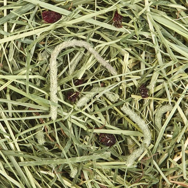 Kaytee Timothy Hay Plus Cranberries Small Animal Treat - Image 3