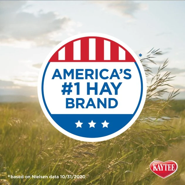 Kaytee Timothy Hay Plus Cranberries Small Animal Treat - Image 8