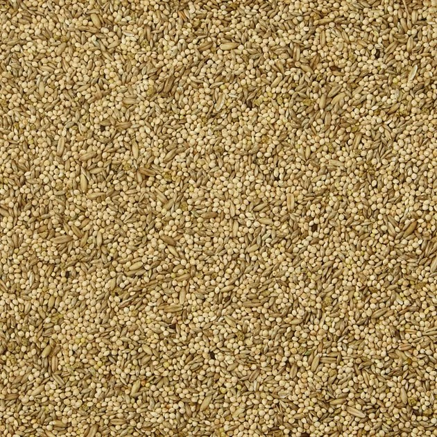 Kaytee Supreme Parakeet Food - Image 4