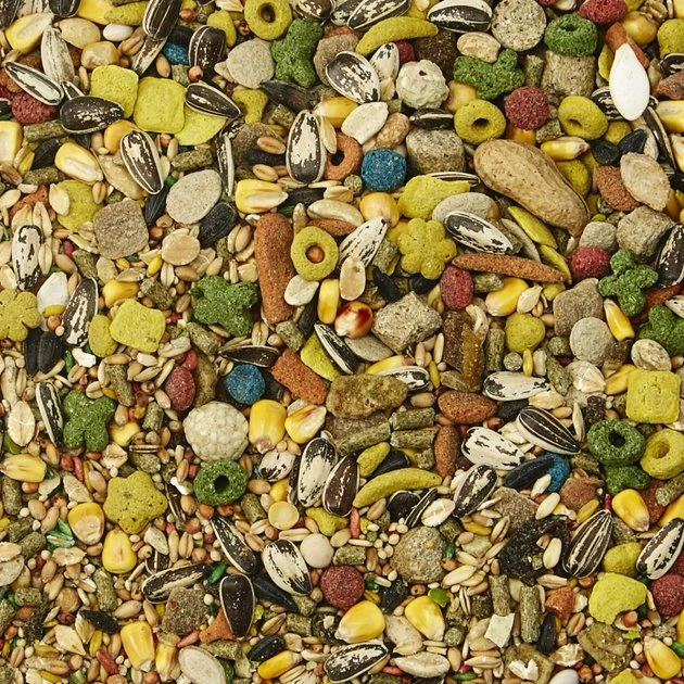 Kaytee Fiesta Gourmet Variety Diet Mouse & Rat Food - Image 3