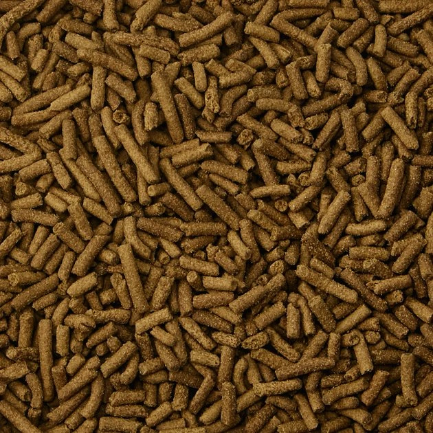 Kaytee Fortified Diet with Real Chicken Ferret Food - Image 3