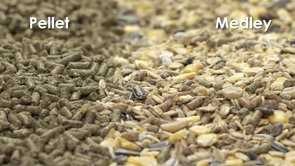 Kaytee Supreme Fortified Daily Diet Rabbit Food - Image 6