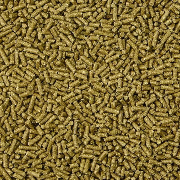 Kaytee Timothy Complete Rabbit Food - Image 4